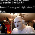 bats be like