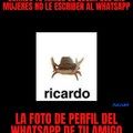 Ricardo momento