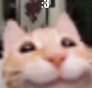 :3 - meme