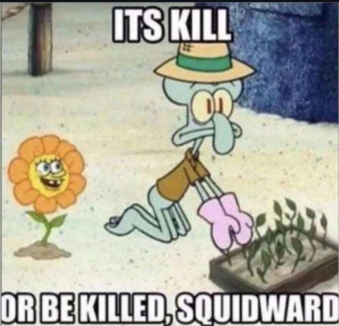 Its kill or be killed - meme