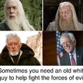 Who else is voting Gandalf for president