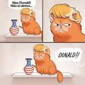Donald!!!