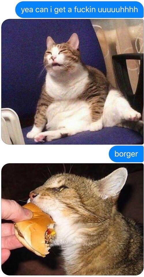 Borger - meme