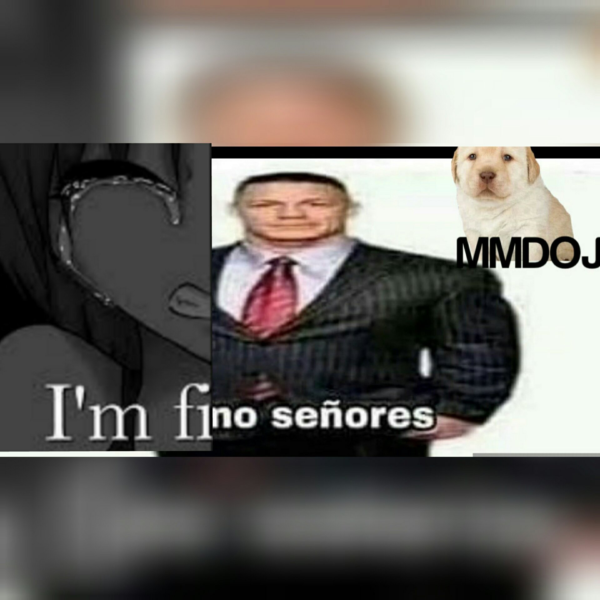 I'm fino señores - meme