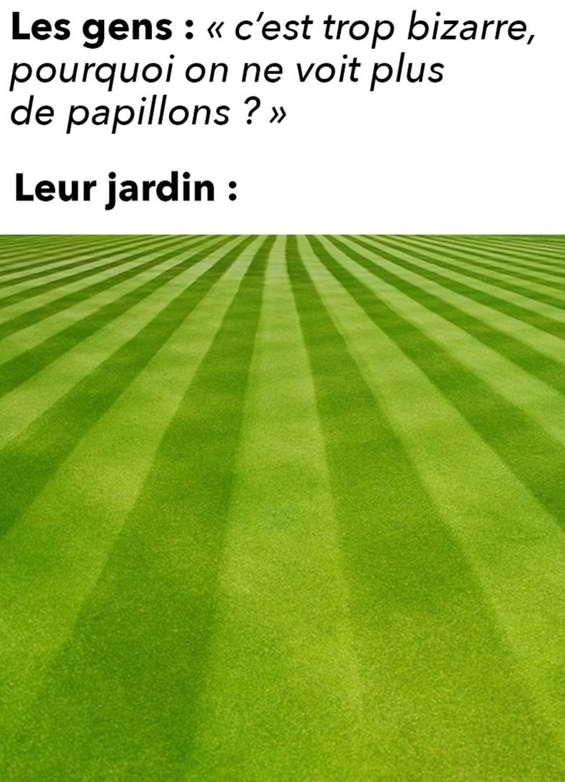 Pas de papillons dans ton jardin ? Peut-être arrête le béton aromatisé au glyphosate - meme