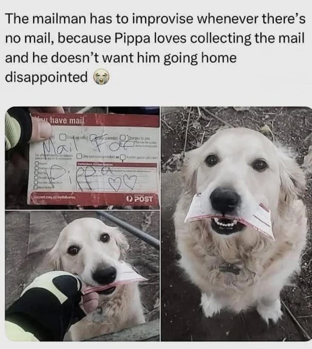 The best Routine memes :) Memedroid