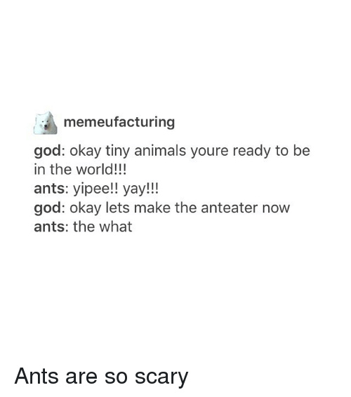 God Naming animals - meme