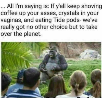 Planet of the apes - meme