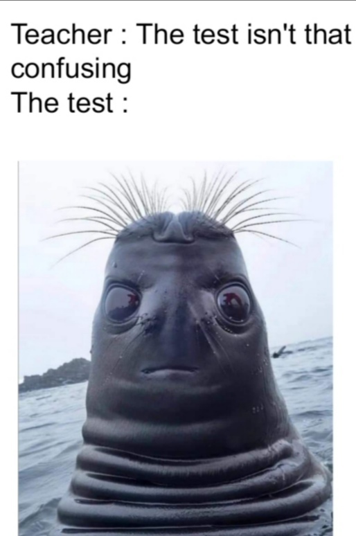 The test - meme