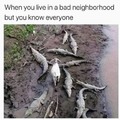 bad neighborhood