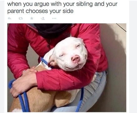 When you're the older sibling and this happens, ITS AMAZING!!! haha - meme