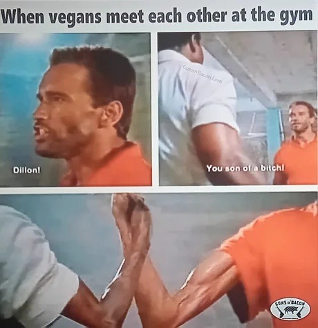 vegan bros at the gym after one tofu shake - meme