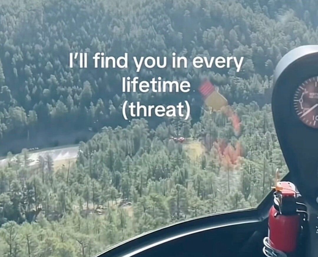 I’ll find you in every lifetime... that’s not a compliment - meme