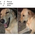 commented item thumbnail