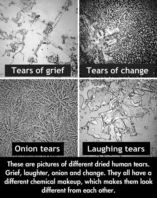 My tears during finals.... - meme