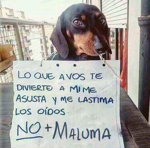 Maluma + gaytoner = sida - meme