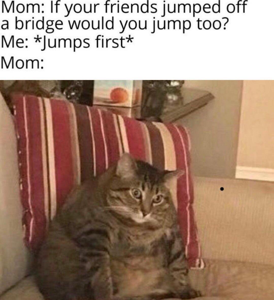 MOM - meme