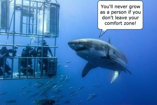 Shark has a point - meme