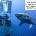 Shark has a point