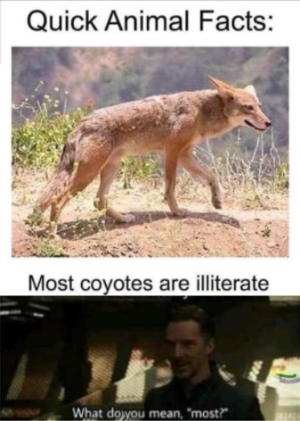 Coyotes - meme