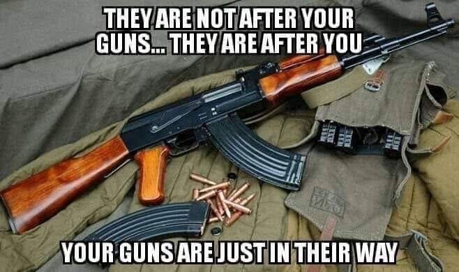 They want your disarmed because they don't want you resisting - meme