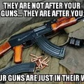 They want your disarmed because they don't want you resisting
