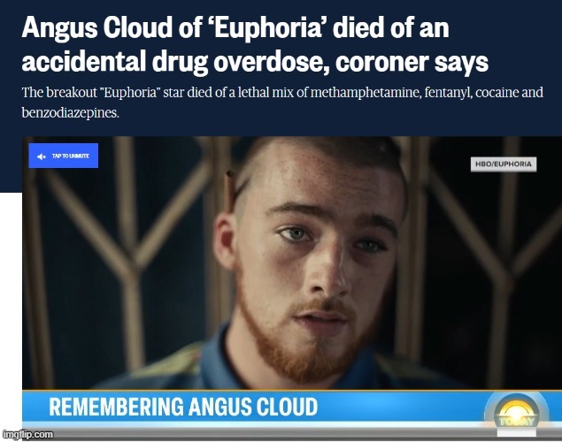 Angus Cloud died of a drug overdose - meme