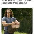 dongs in a hole
