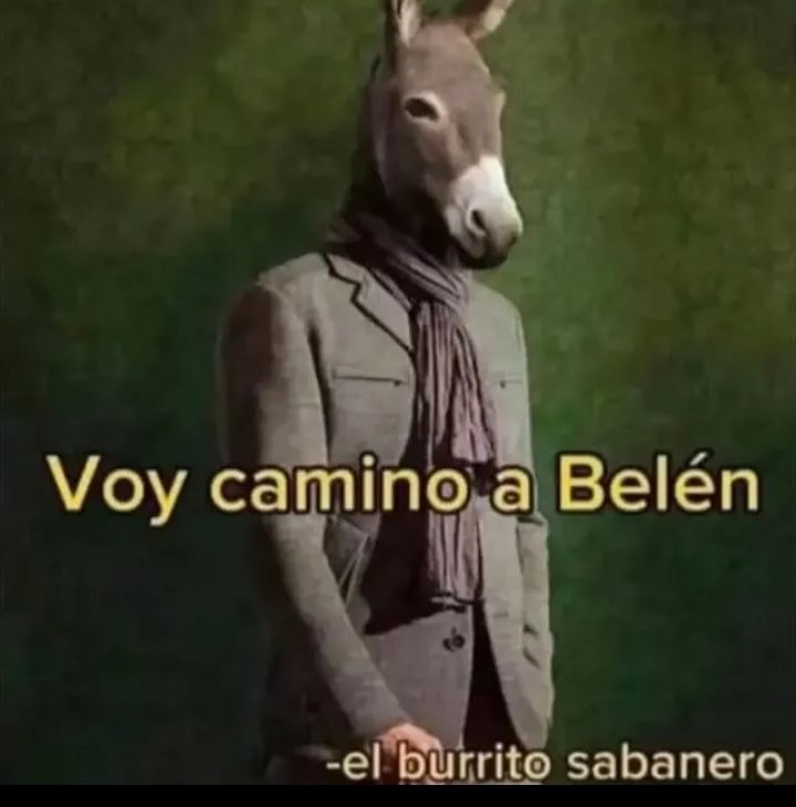 Capitan lento - meme