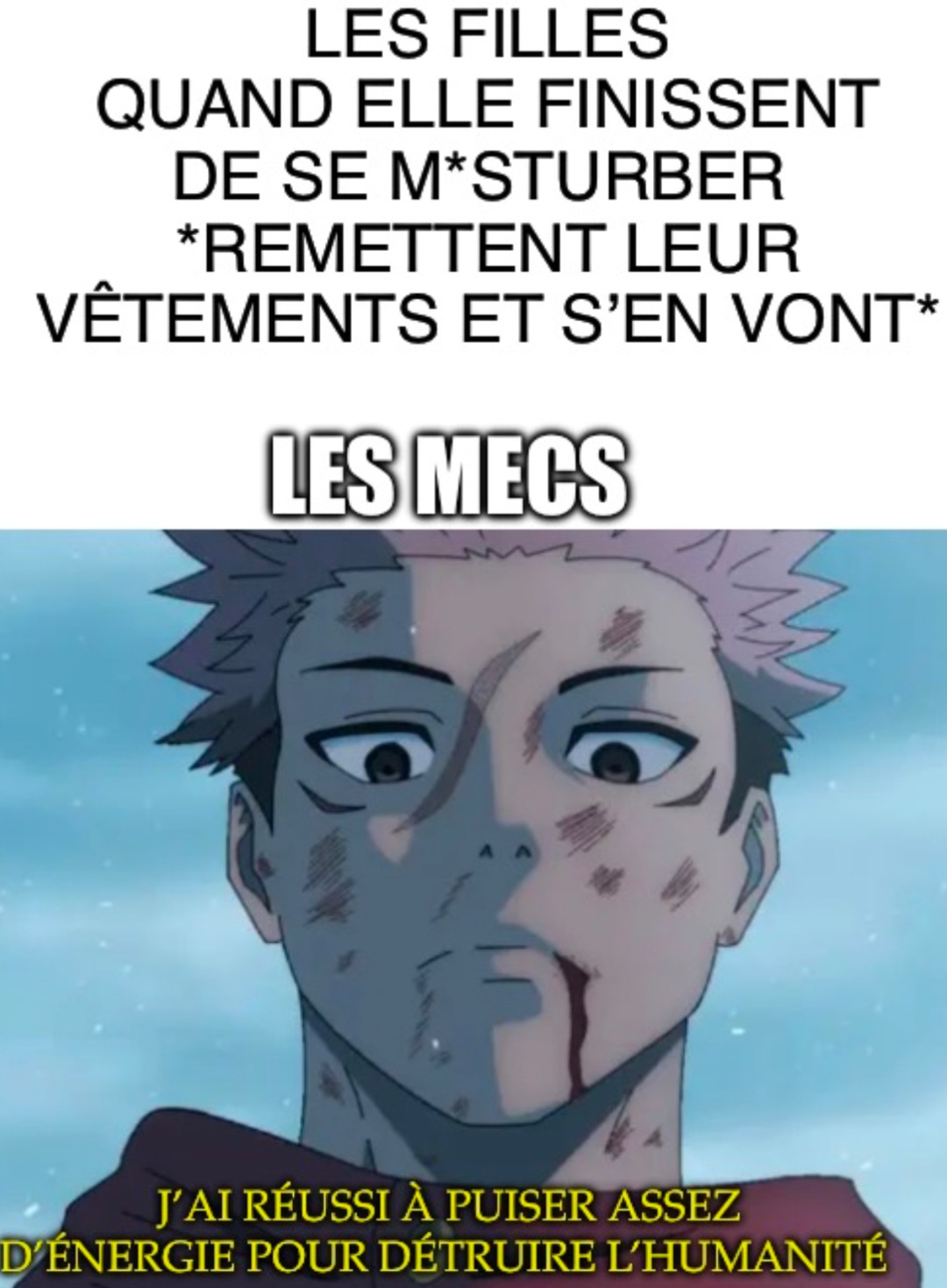 Vague de mes mêmes à la modo - meme