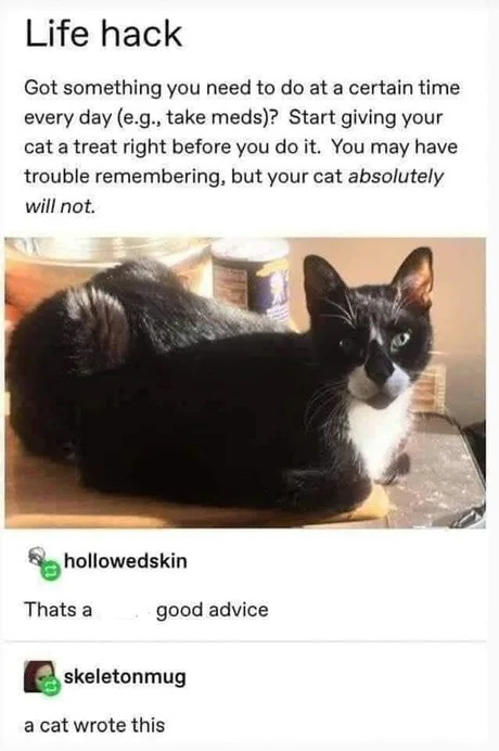 If you have to take meds - meme