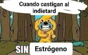 Indiegenas de mierda parecen cucarachas que almontan en la basuraaaaaa - meme
