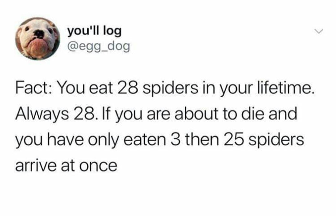 Always 28 spiders - meme