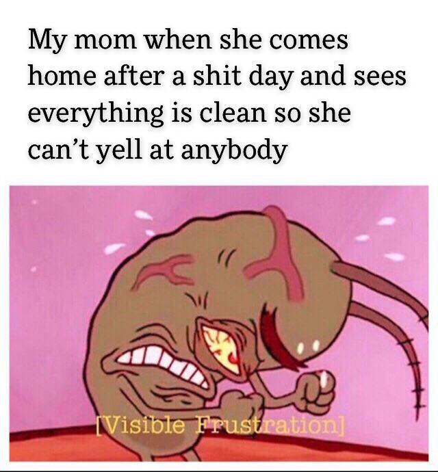 My mom when she comes home after a shit day and sees everything is clean - meme