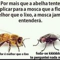 Os MGTOW são como as abelhas e o betas e escravocetas são como as moscas