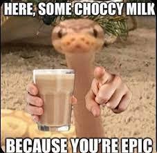 Choccy milk - meme