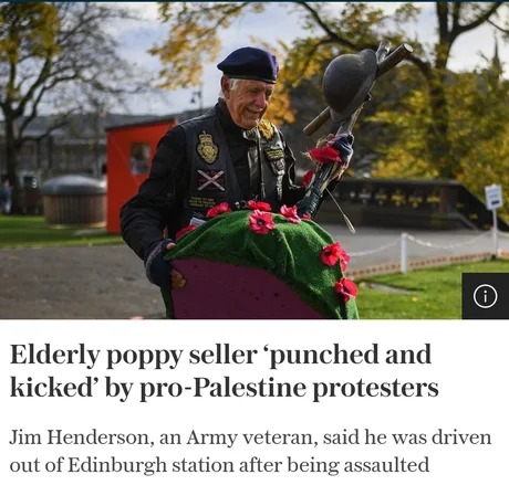 Elderly poppy seller punched and kicked by pro Palestine protesters - meme