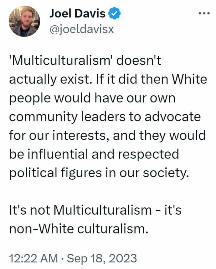 Diversity equals white genocide - meme