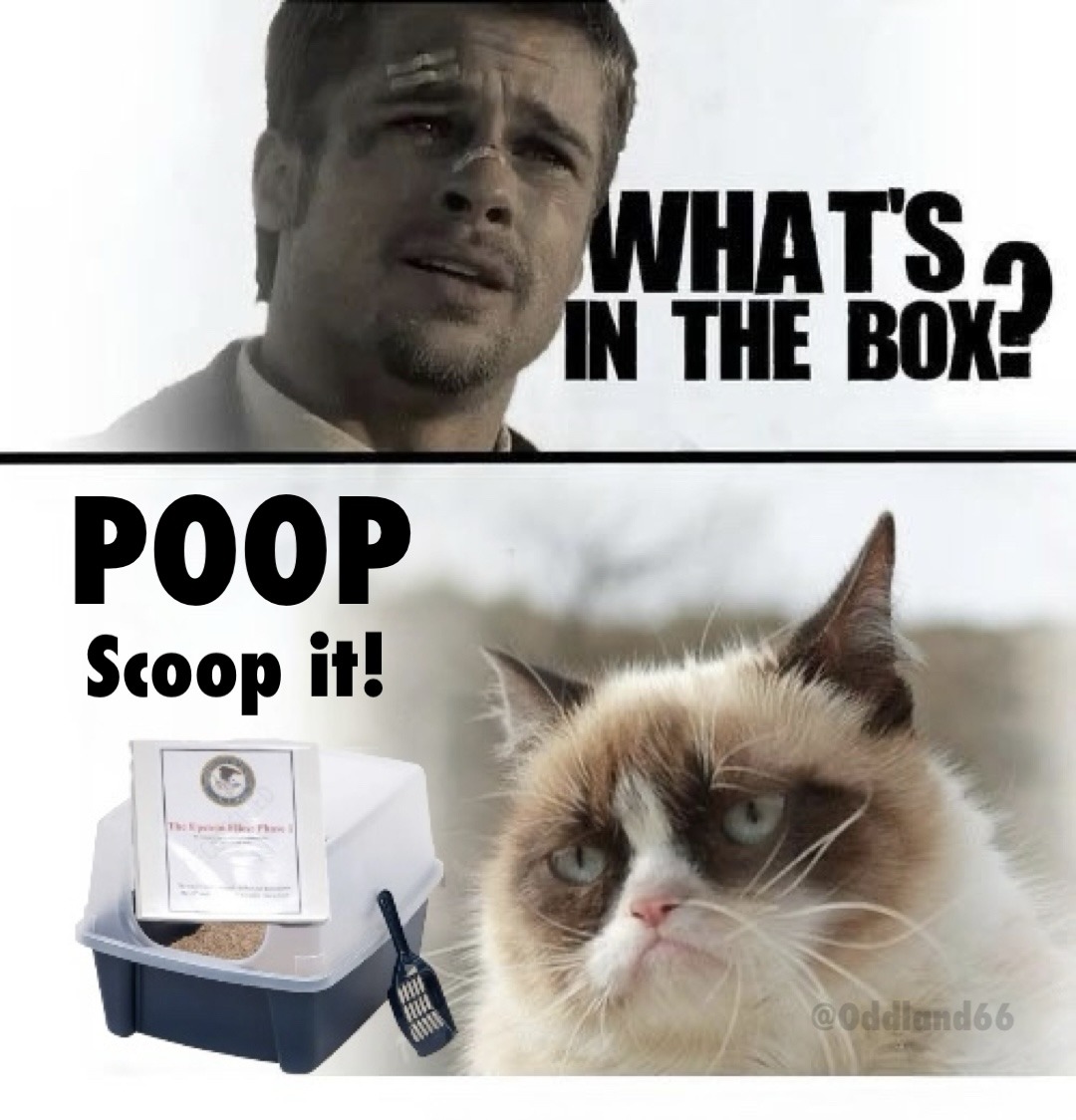 Epstein phase 1 was  - meme