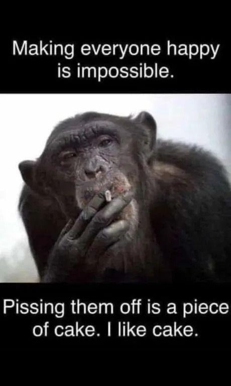 Making everyone happy is impossible, but pissing them off? Easy as pie. - meme