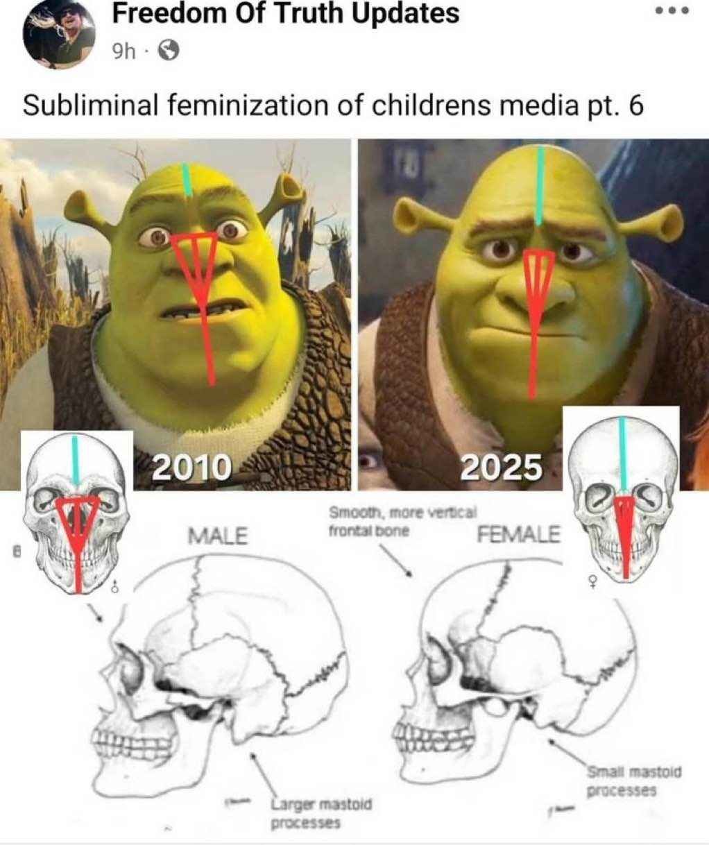 está over pro Sherek - meme