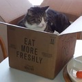 commented item thumbnail