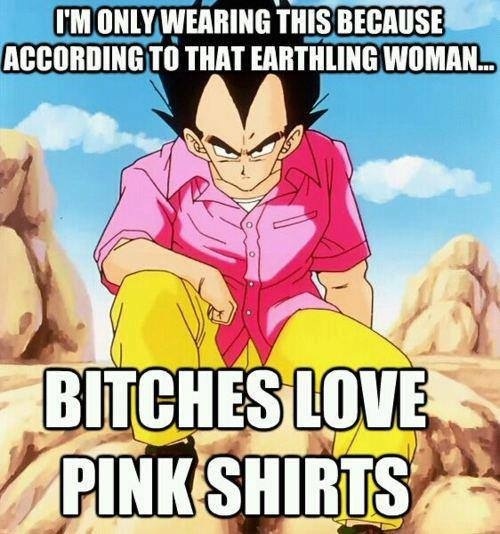 So I wore that bitch's pink shirt. - meme