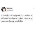 what do I smell like