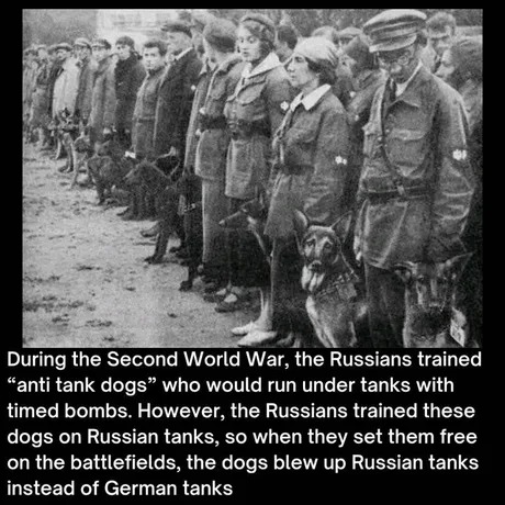 WW2 fun facts - meme