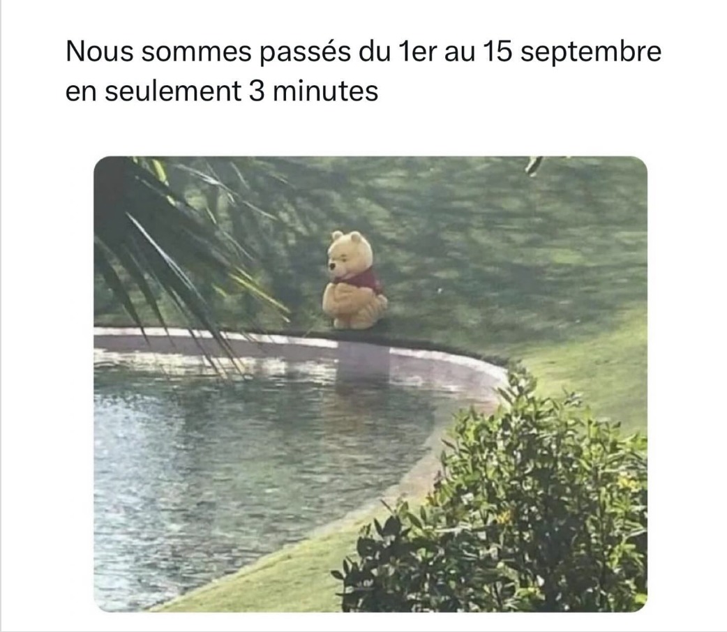 Definitely - meme