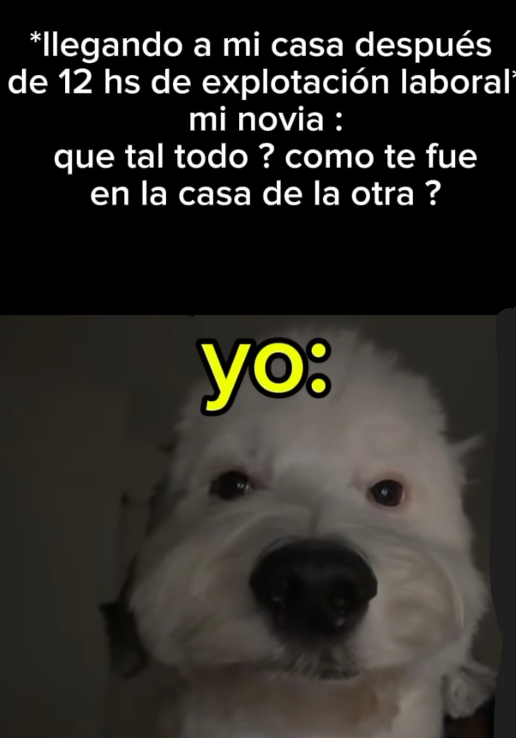 Llegando destruido del trabajo y mi novia con preguntas de novela turca - meme
