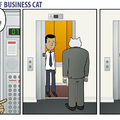 The adventures of business cat