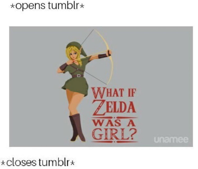 What if Zelda was a girl? - meme