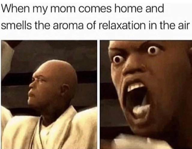 When my mom comes home and smells the aroma of relaxation in the air - meme